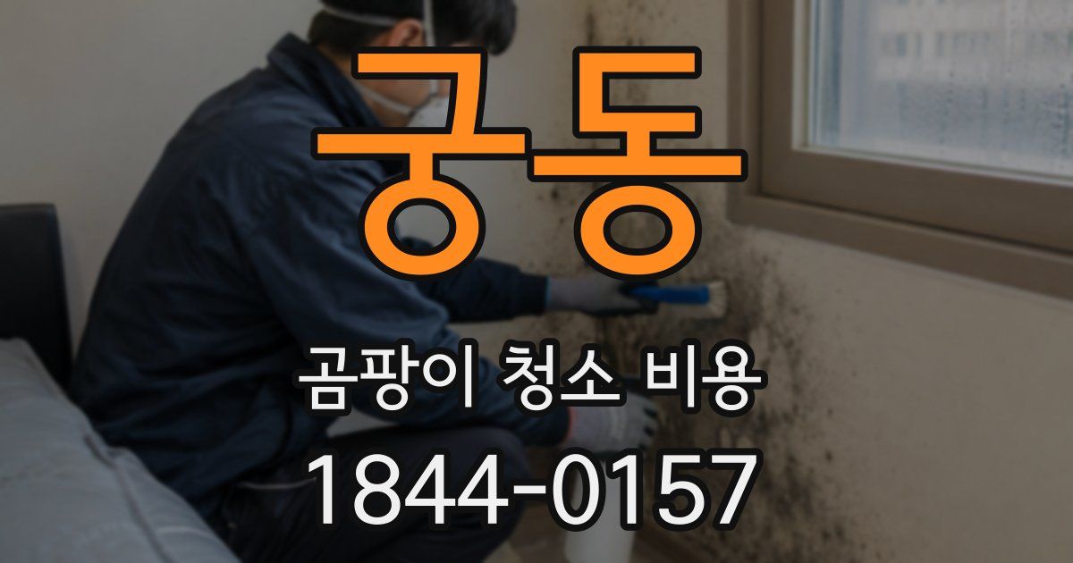 궁동 곰팡이 청소 비용
