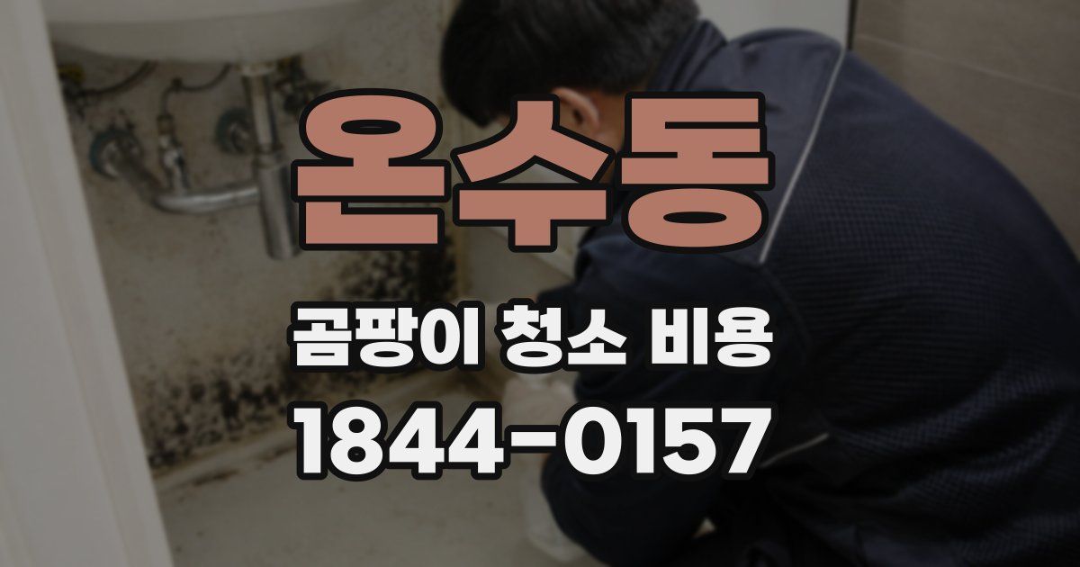 온수동 곰팡이 청소 비용