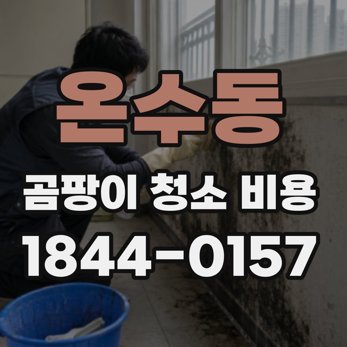 온수동 곰팡이 청소 비용