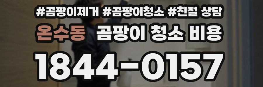 온수동 곰팡이 청소 비용