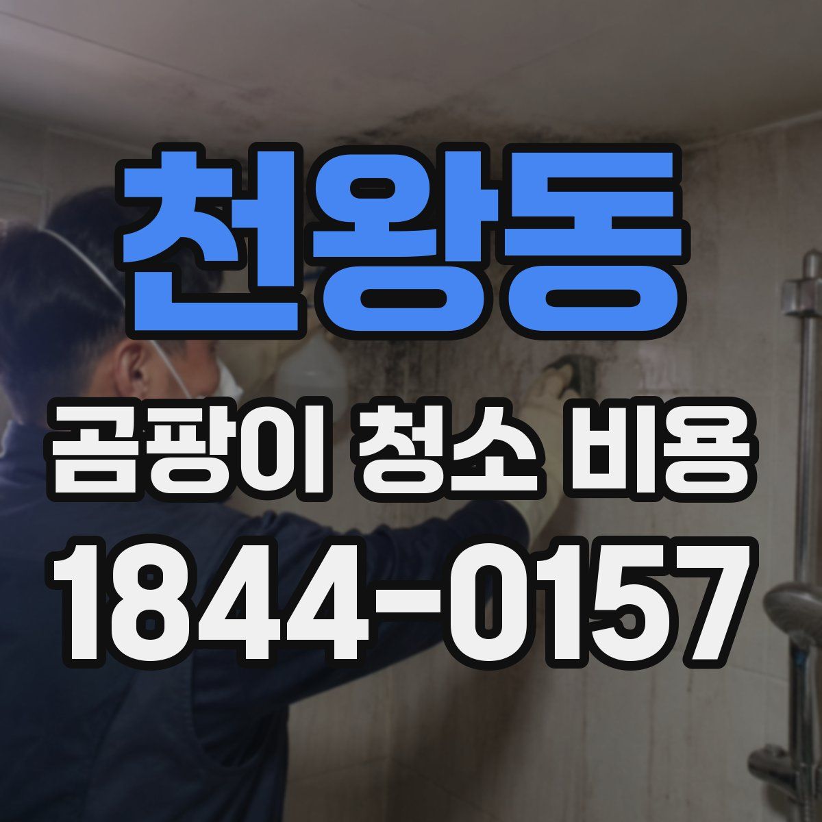천왕동 곰팡이 청소 비용