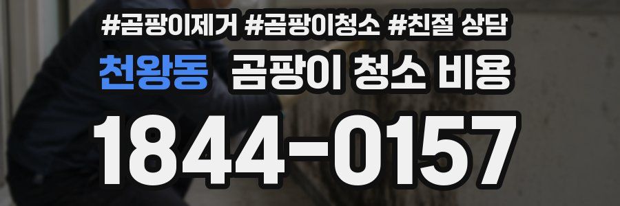 천왕동 곰팡이 청소 비용