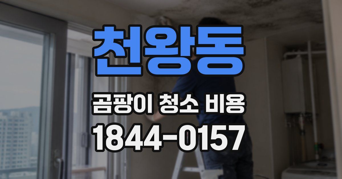 천왕동 곰팡이 청소 비용