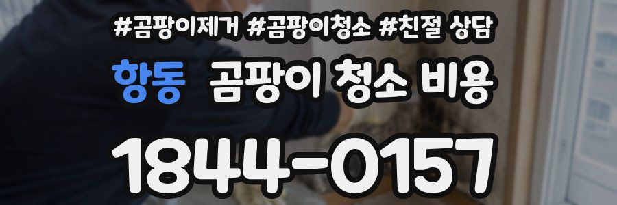 항동 곰팡이 청소 비용