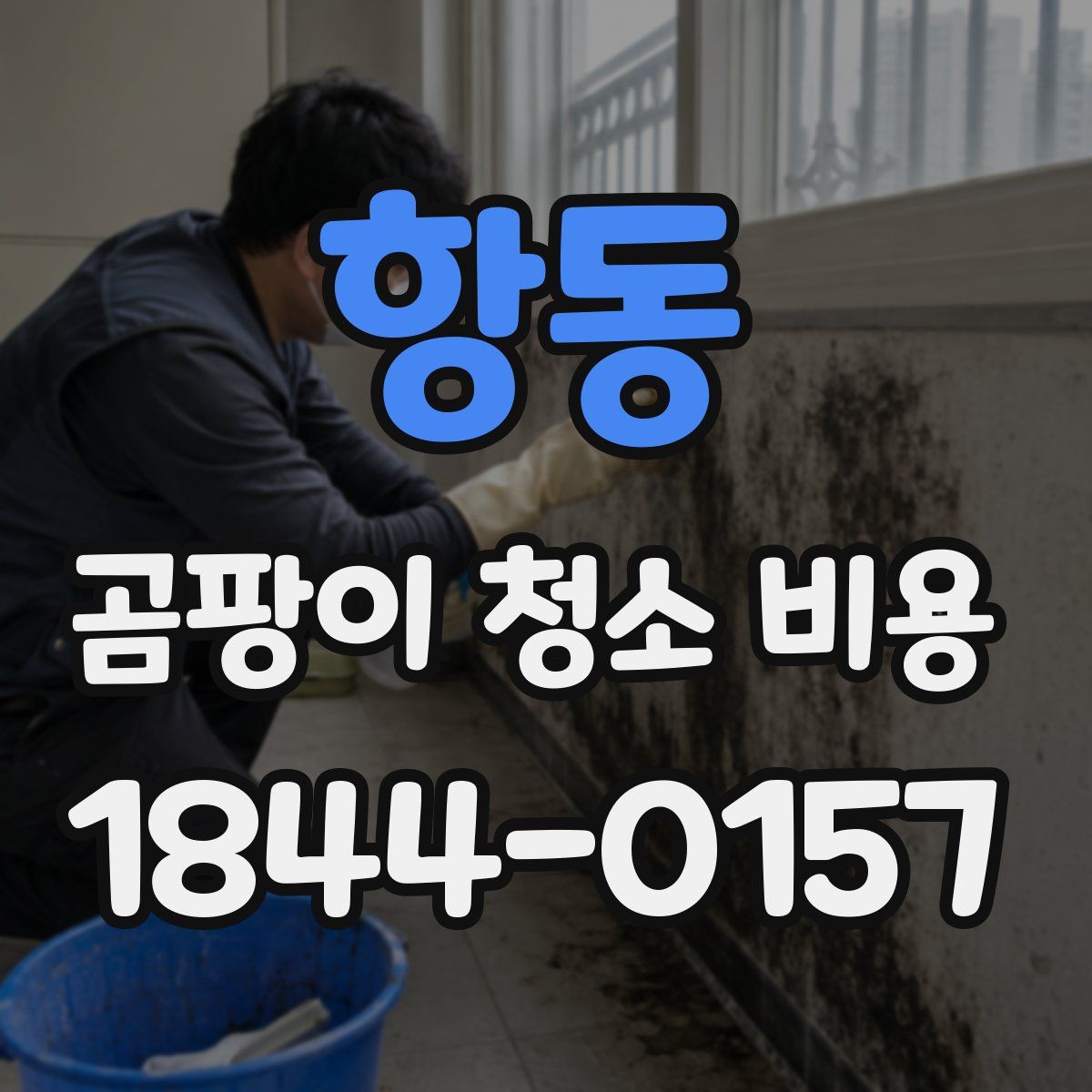 항동 곰팡이 청소 비용