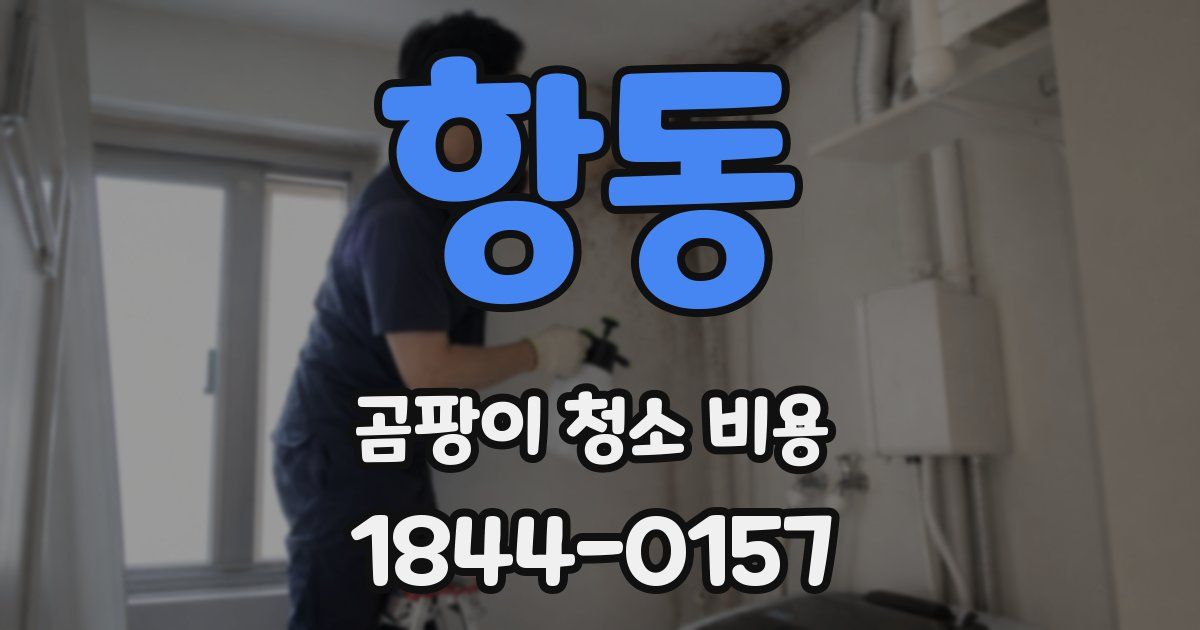 항동 곰팡이 청소 비용
