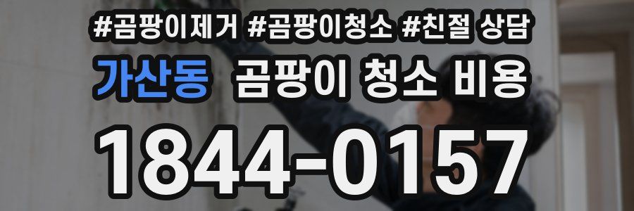 가산동 곰팡이 청소 비용