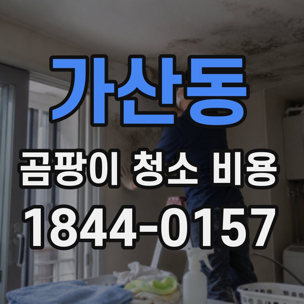 가산동 곰팡이 청소 비용