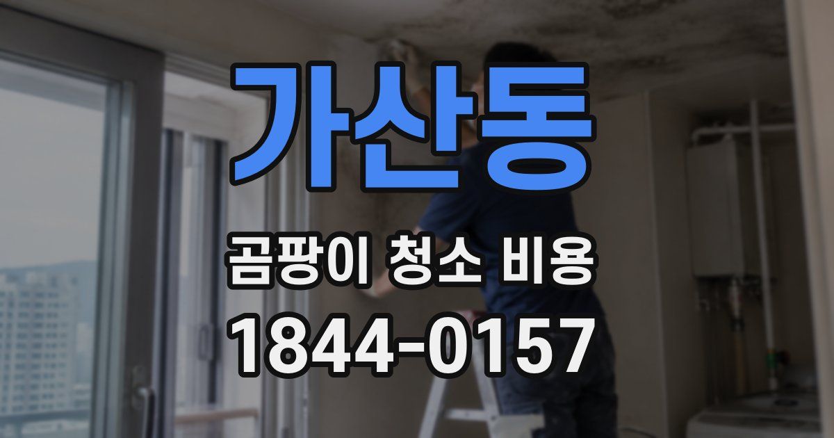 가산동 곰팡이 청소 비용