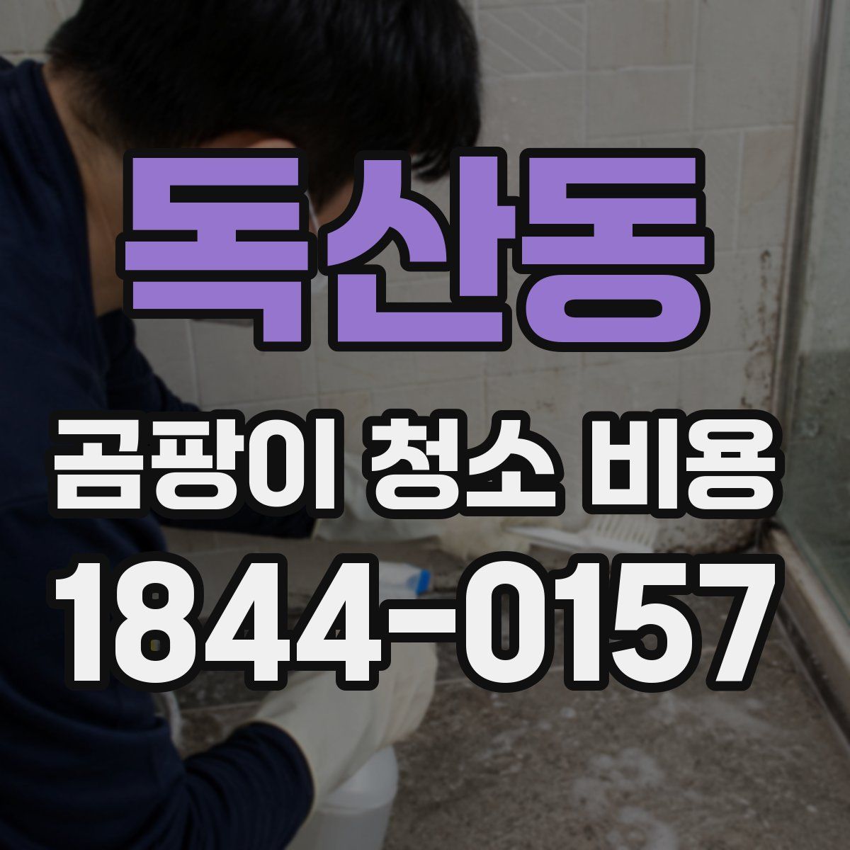 독산동 곰팡이 청소 비용