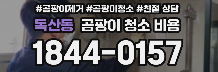 독산동 곰팡이 청소 비용