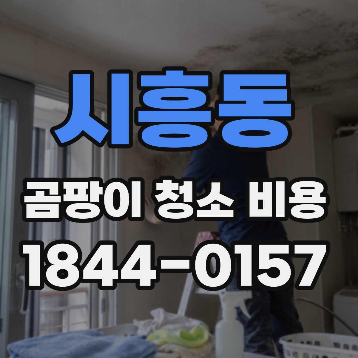 시흥동 곰팡이 청소 비용