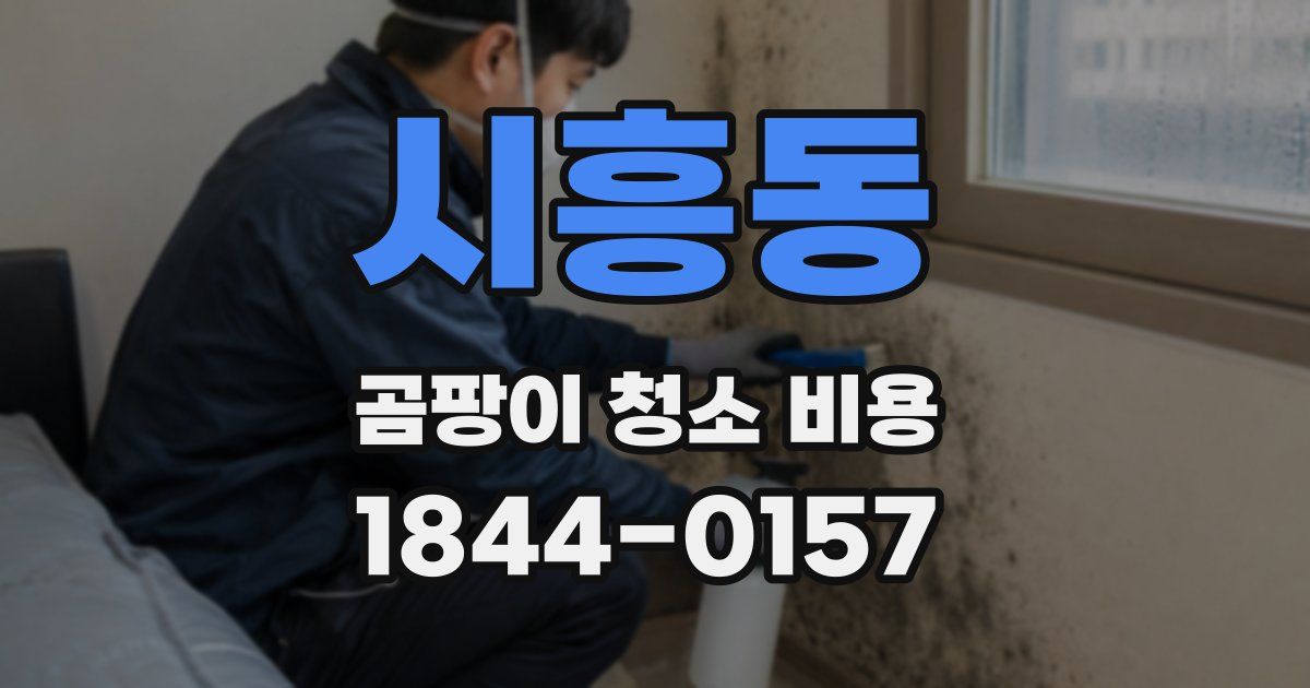 시흥동 곰팡이 청소 비용