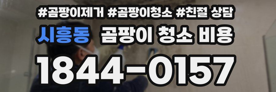 시흥동 곰팡이 청소 비용
