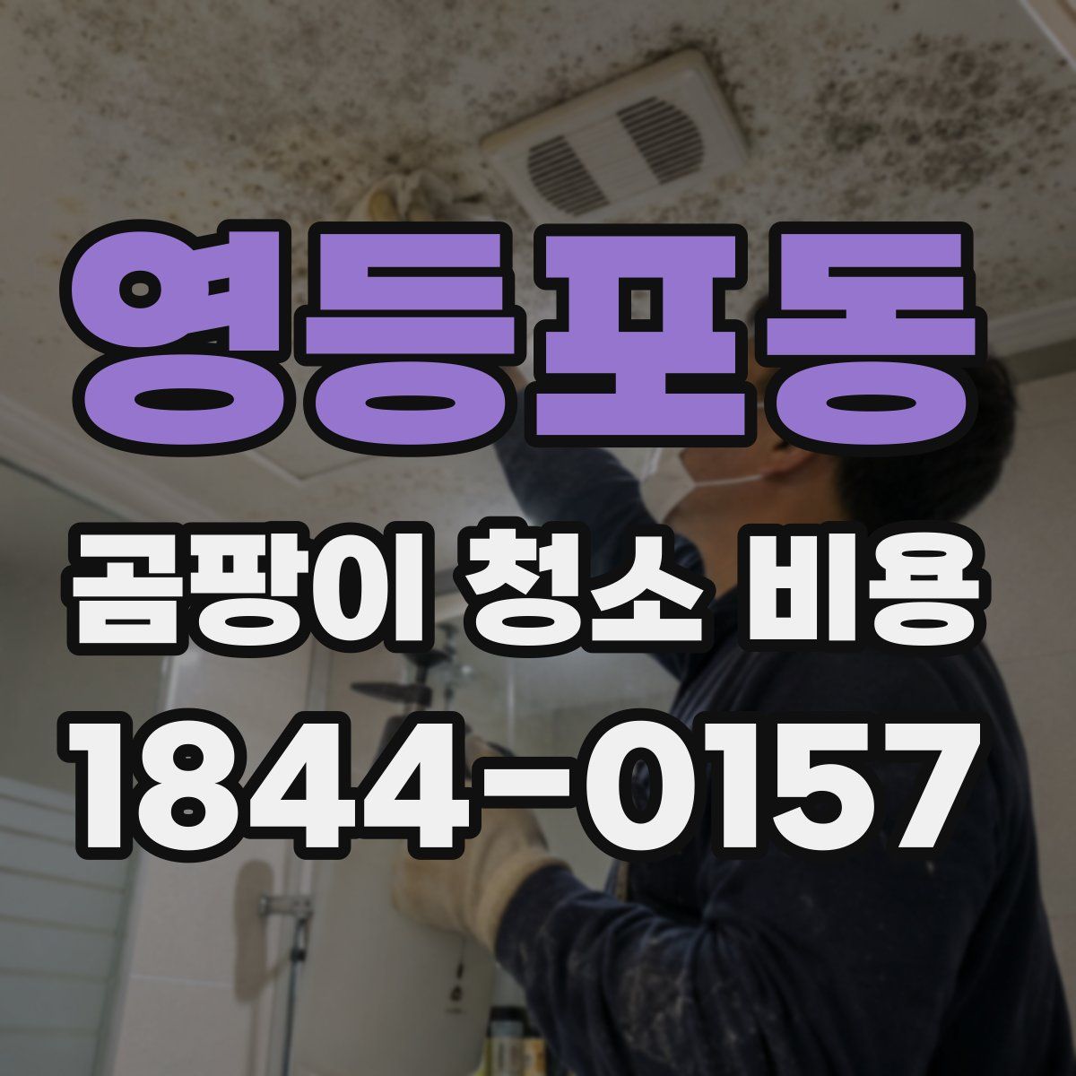 영등포동 곰팡이 청소 비용