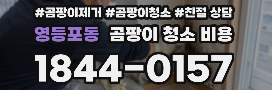 영등포동 곰팡이 청소 비용