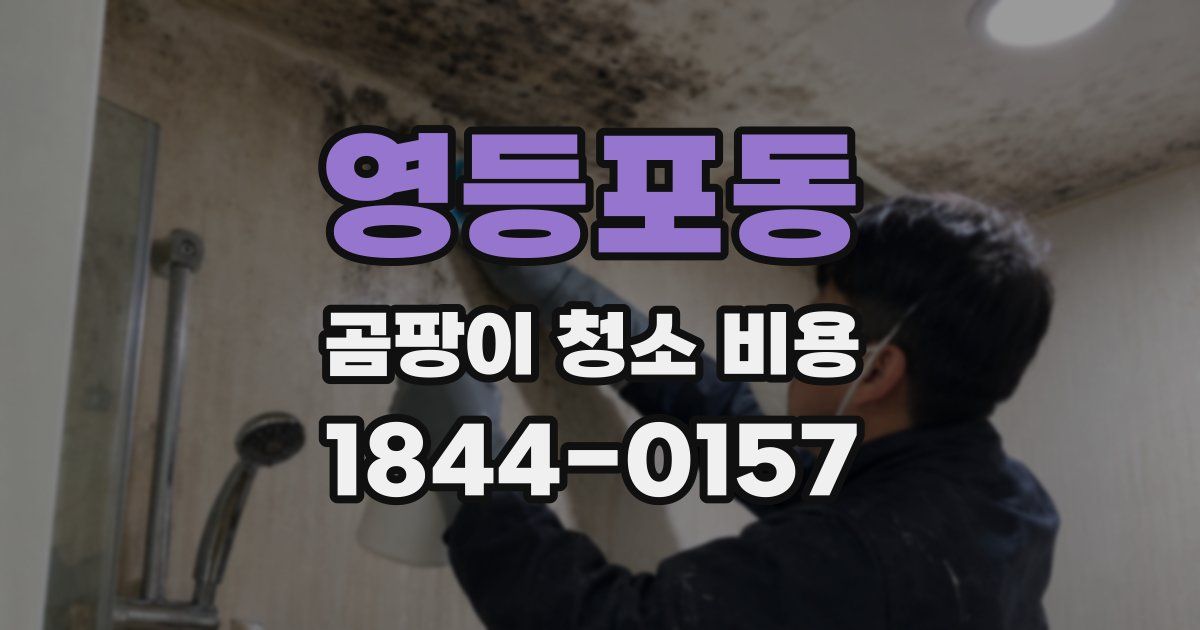 영등포동 곰팡이 청소 비용