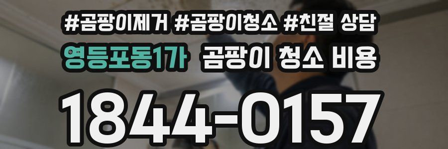 영등포동1가 곰팡이 청소 비용