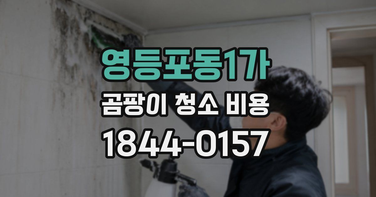 영등포동1가 곰팡이 청소 비용