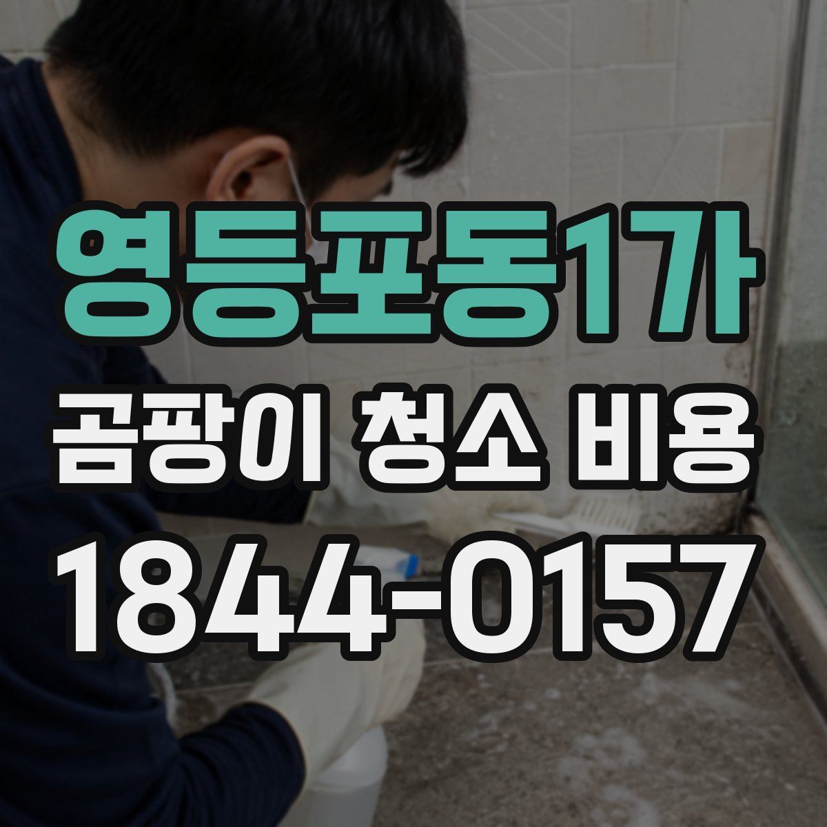 영등포동1가 곰팡이 청소 비용