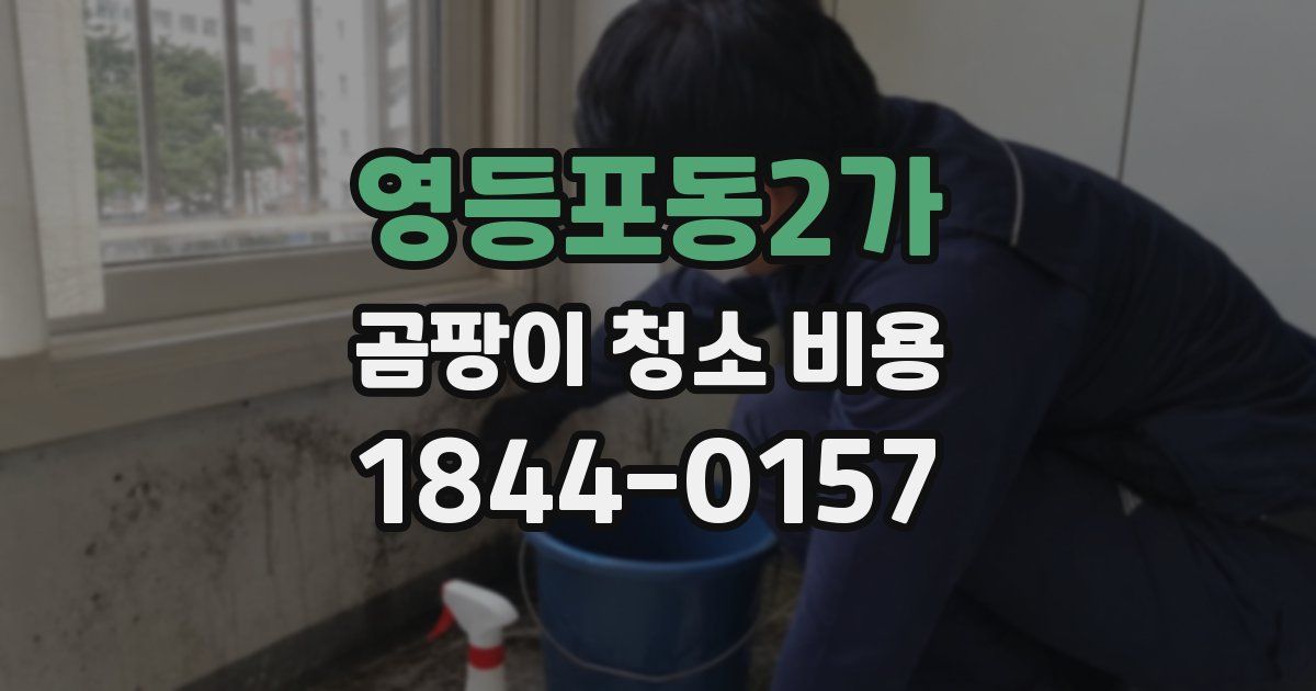 영등포동2가 곰팡이 청소 비용