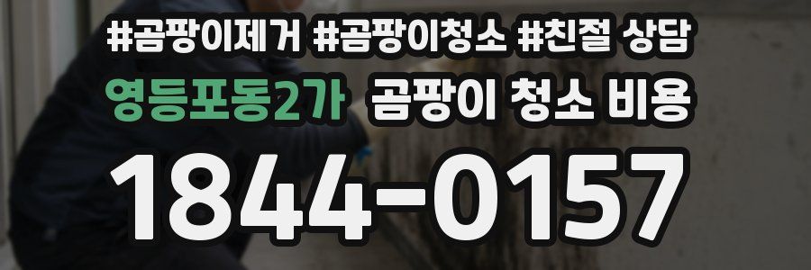 영등포동2가 곰팡이 청소 비용