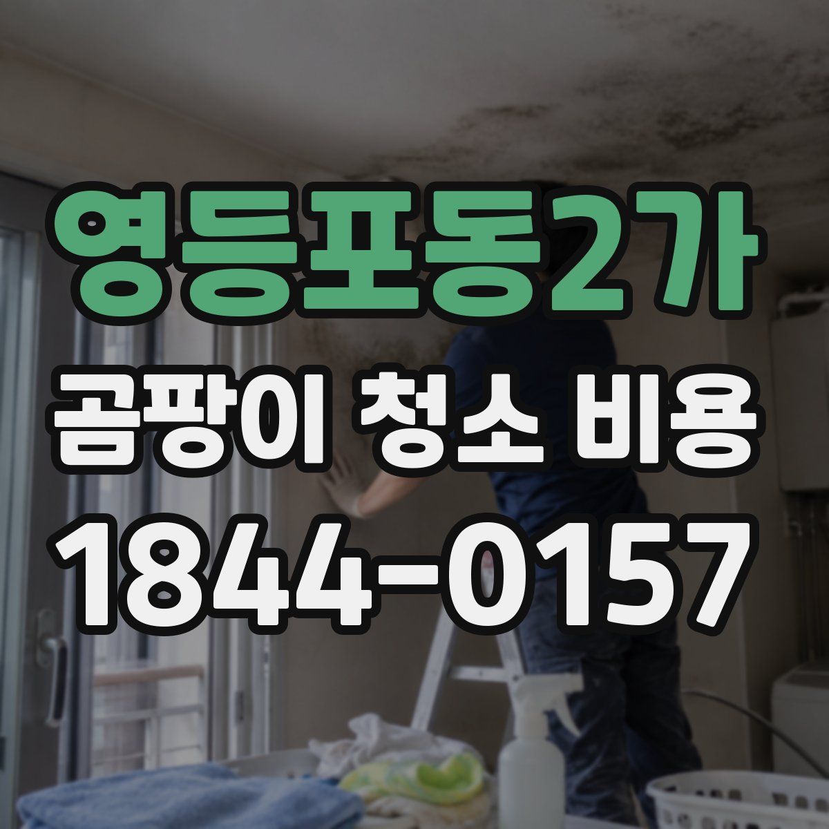 영등포동2가 곰팡이 청소 비용