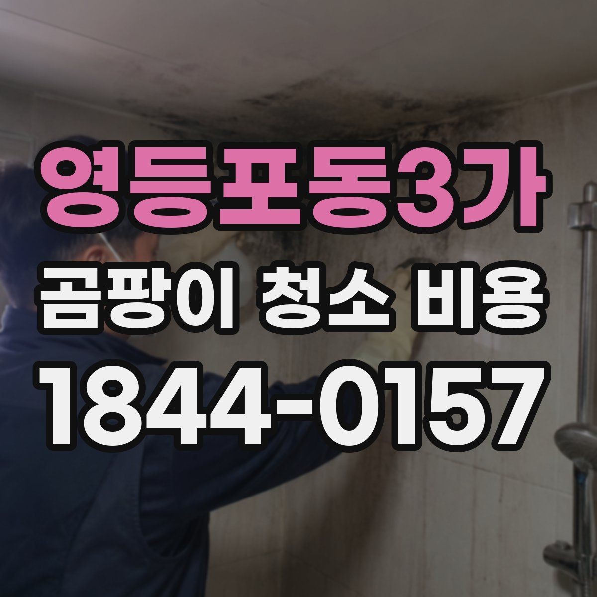 영등포동3가 곰팡이 청소 비용 비교 시 업체 설명에서 볼 부분