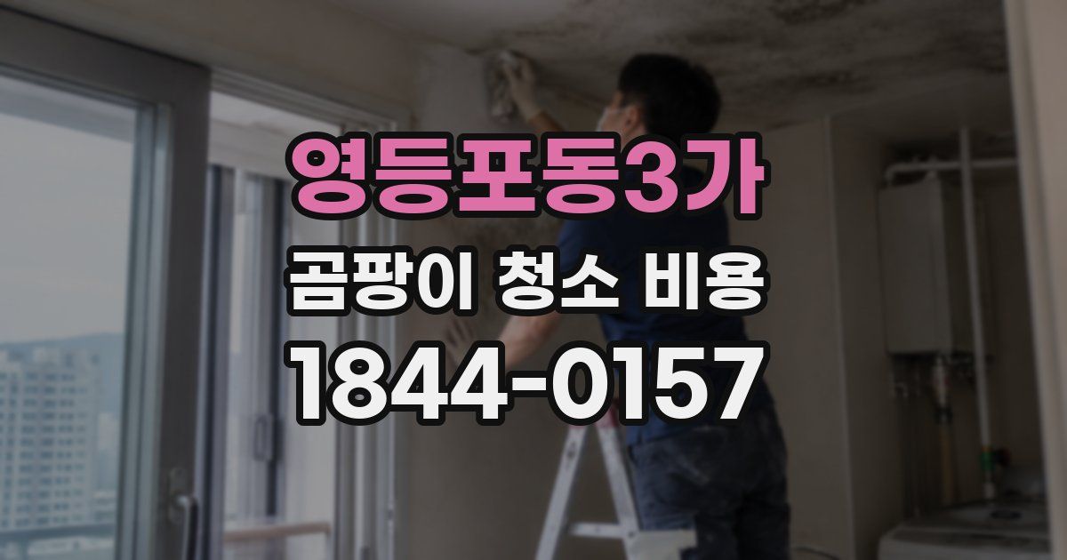 영등포동3가 곰팡이 청소 비용