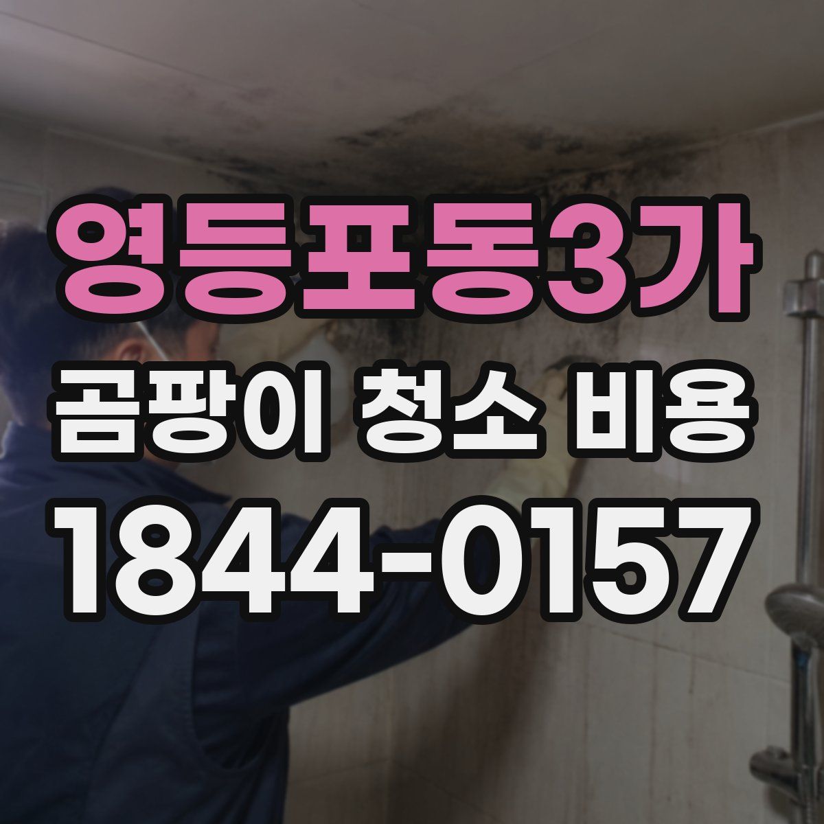 영등포동3가 곰팡이 청소 비용