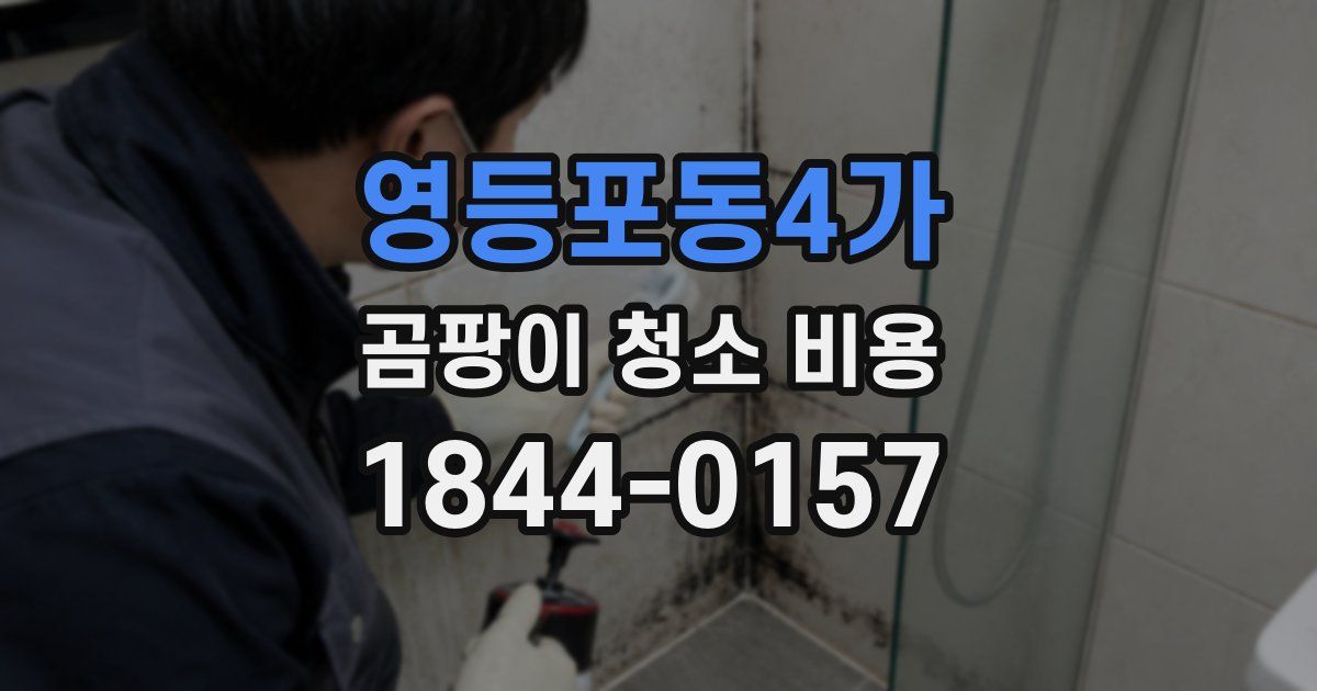 영등포동4가 곰팡이 청소 비용