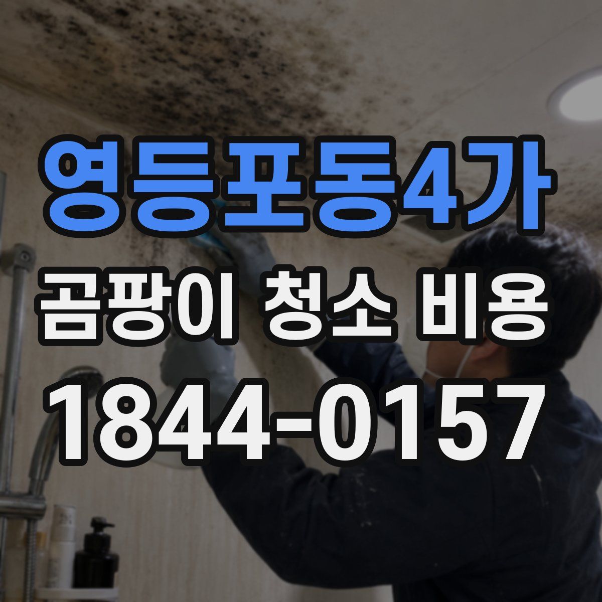 영등포동4가 곰팡이 청소 비용