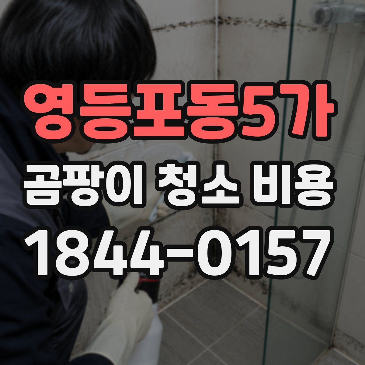 영등포동5가 곰팡이 청소 비용