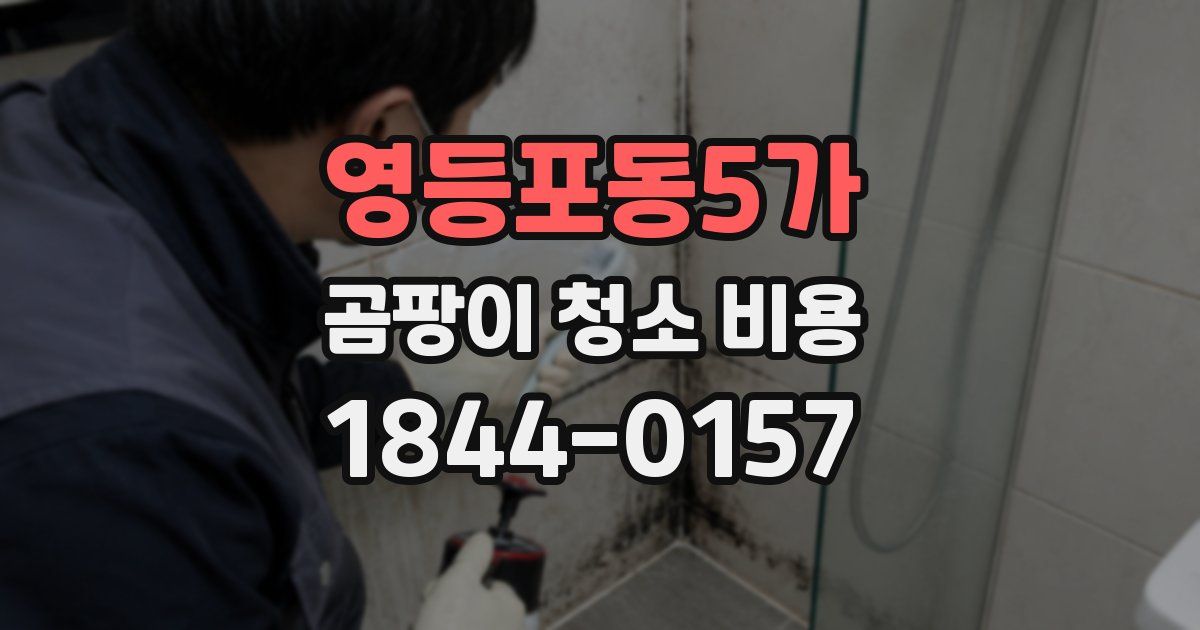 영등포동5가 곰팡이 청소 비용