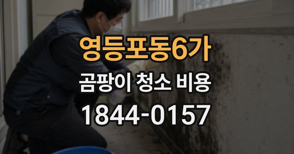 영등포동6가 곰팡이 청소 비용