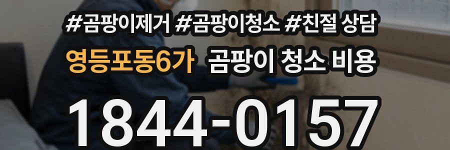 영등포동6가 곰팡이 청소 비용