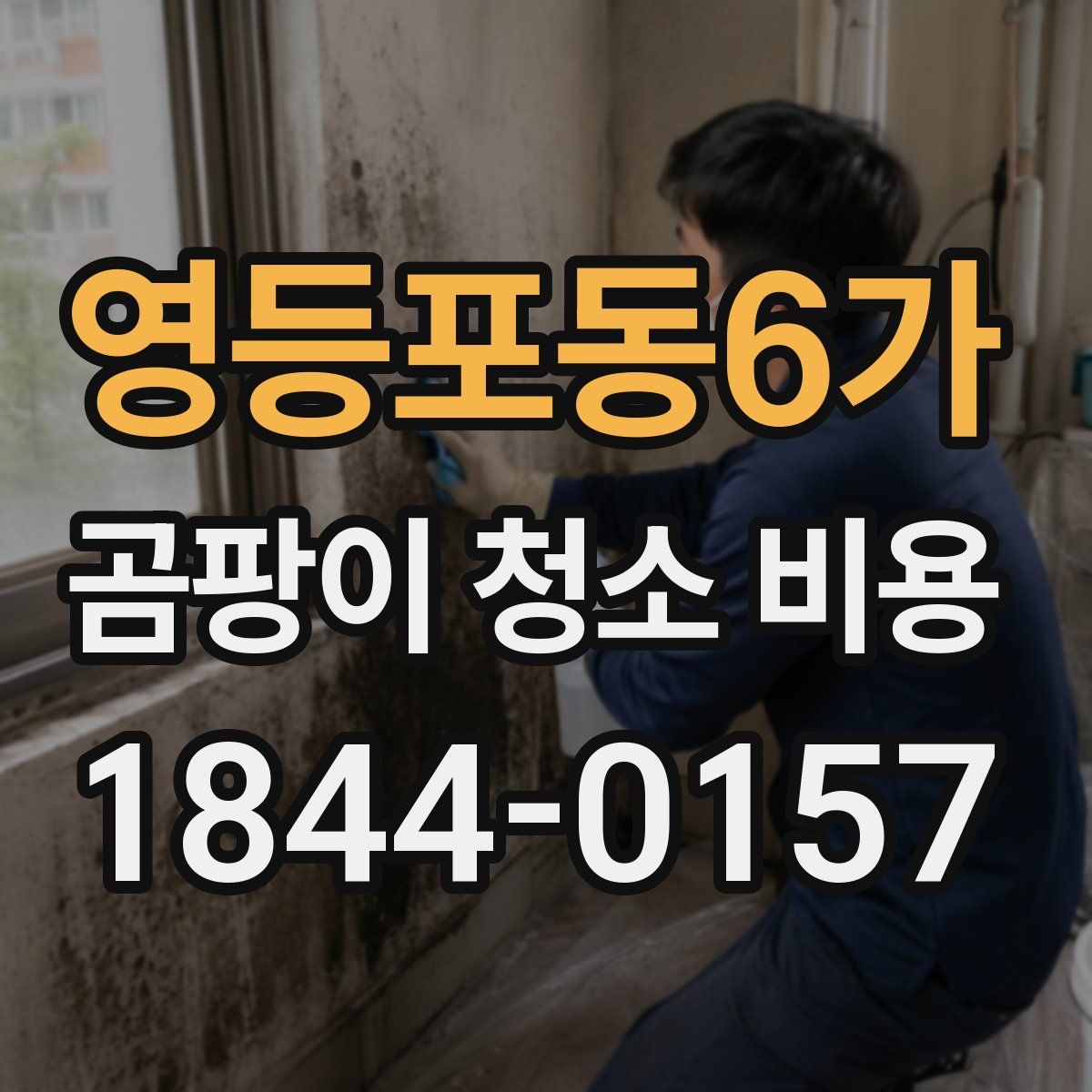 영등포동6가 곰팡이 청소 비용