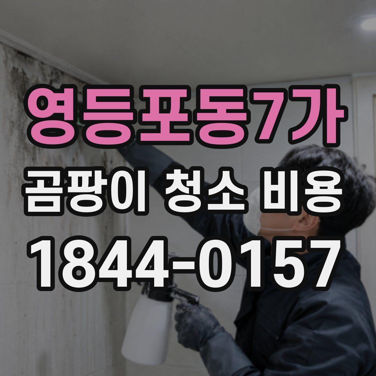 영등포동7가 곰팡이 청소 비용