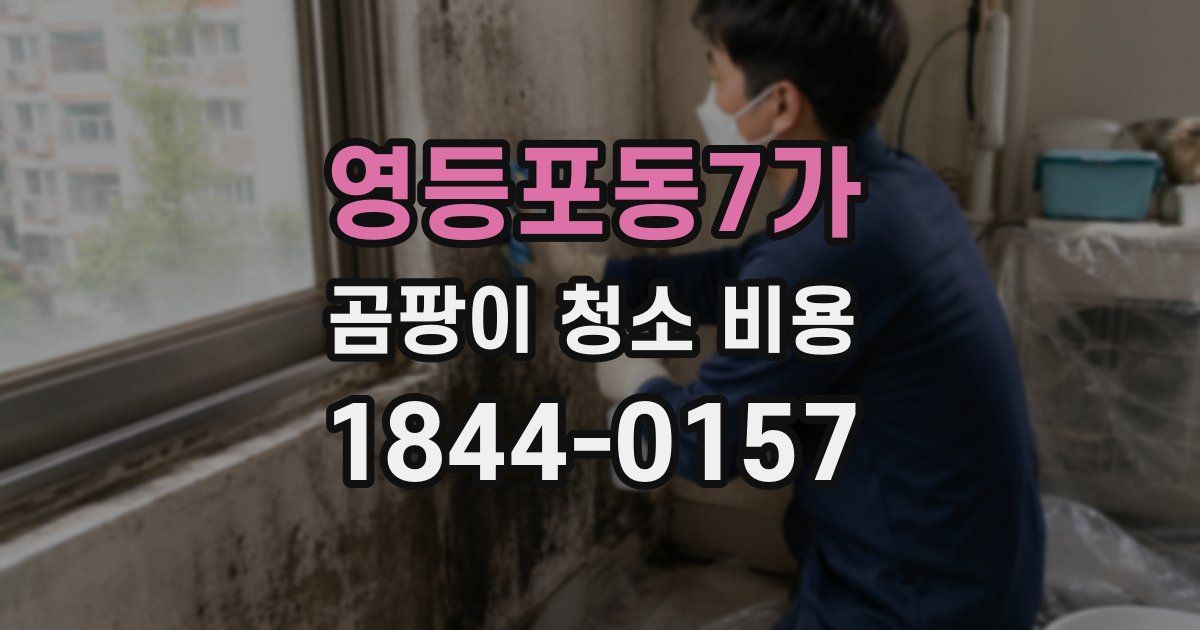 영등포동7가 곰팡이 청소 비용
