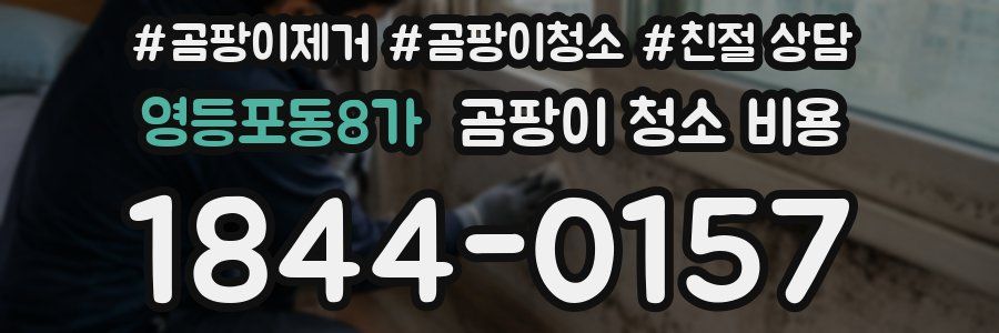 영등포동8가 곰팡이 청소 비용