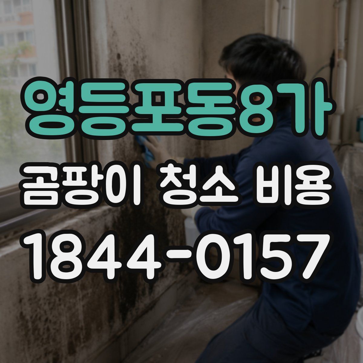 영등포동8가 곰팡이 청소 비용