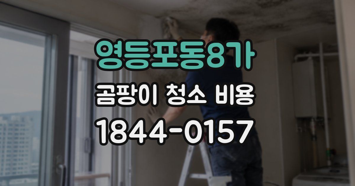 영등포동8가 곰팡이 청소 비용