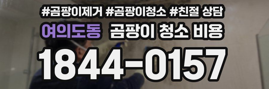 여의도동 곰팡이 청소 비용