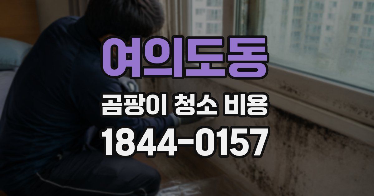 여의도동 곰팡이 청소 비용