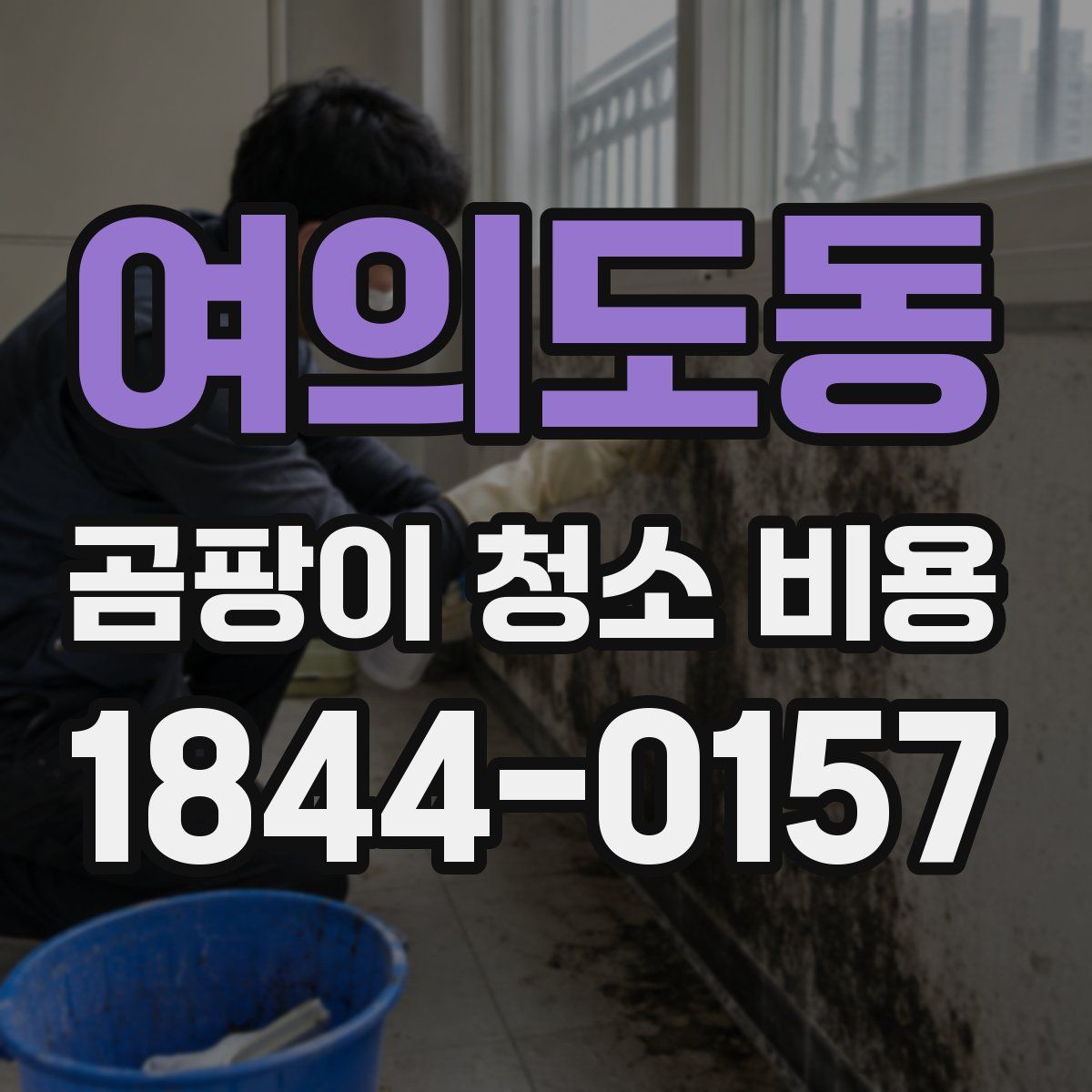 여의도동 곰팡이 청소 비용