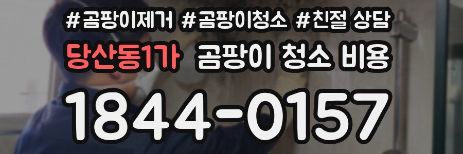 당산동1가 곰팡이 청소 비용
