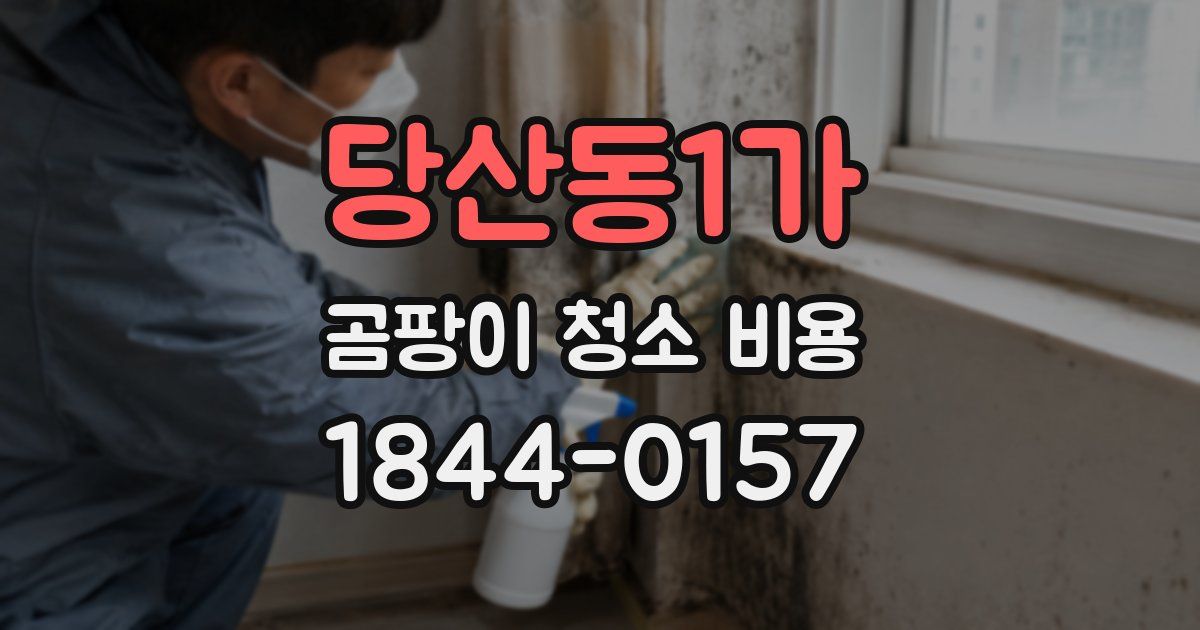 당산동1가 곰팡이 청소 비용