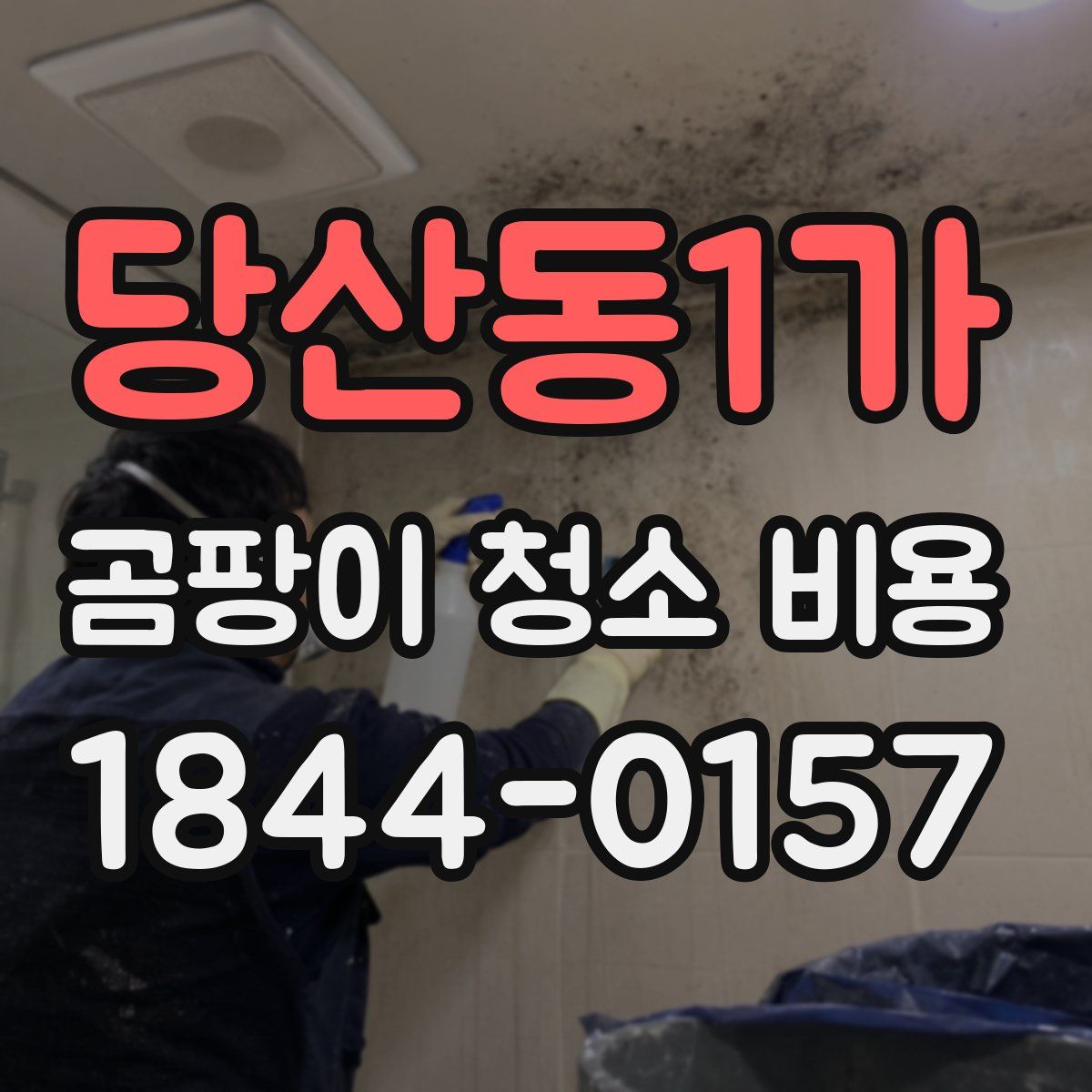 당산동1가 곰팡이 청소 비용
