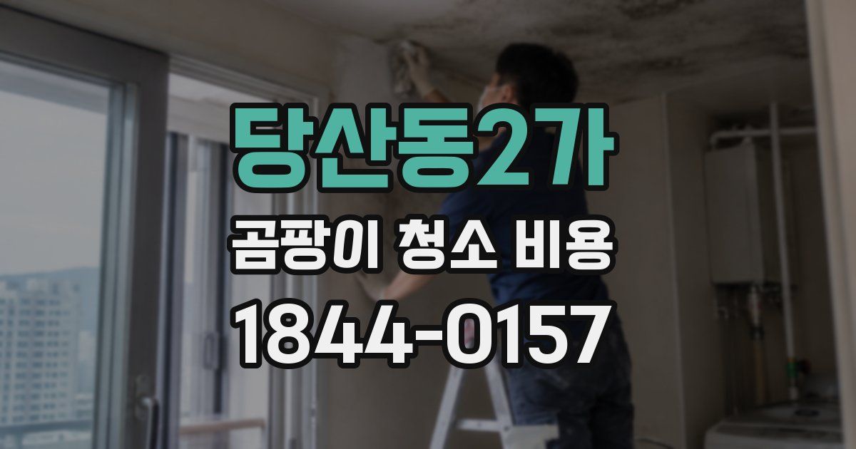 당산동2가 곰팡이 청소 비용