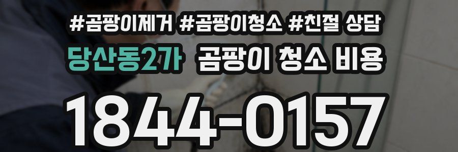 당산동2가 곰팡이 청소 비용